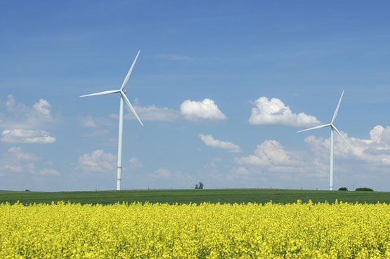 environnement_Lettre-des-notaires-de-France-mars-2021_actualite_555pix