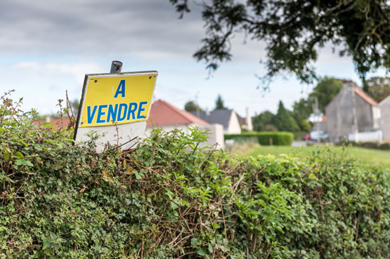 lettre-des-notaires-de-france-actualite-notaires-555pix