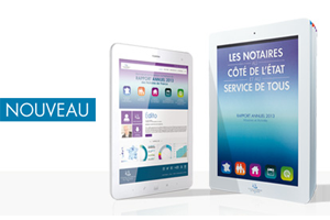 rapport_activite_notariat_2013.jpg