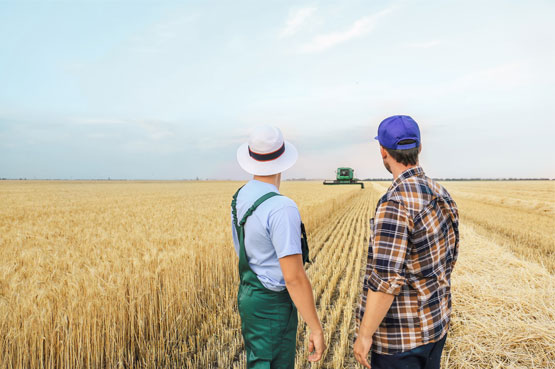societe_agricole_mai_2021_Lettre-des-notaires-de-France-555pix