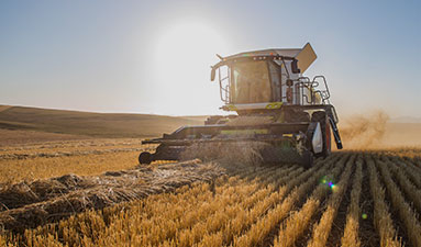 Actu-lycees-agri