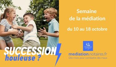 mediation_1