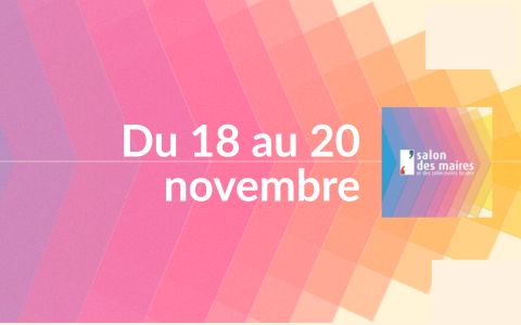 Miniature-salon-des-maires