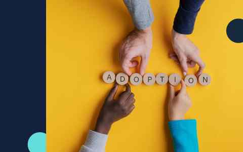 Adoption